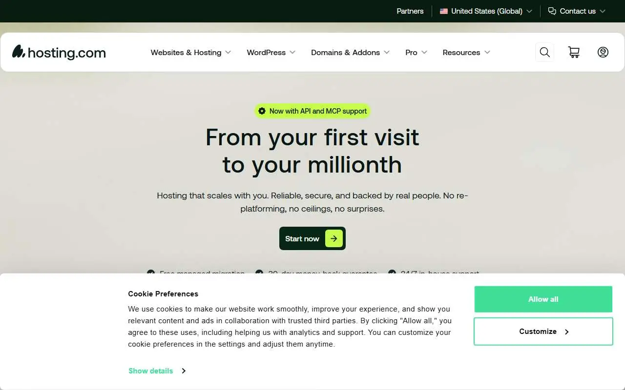 Tampilan website resmi Hosting.com (hosting.com)