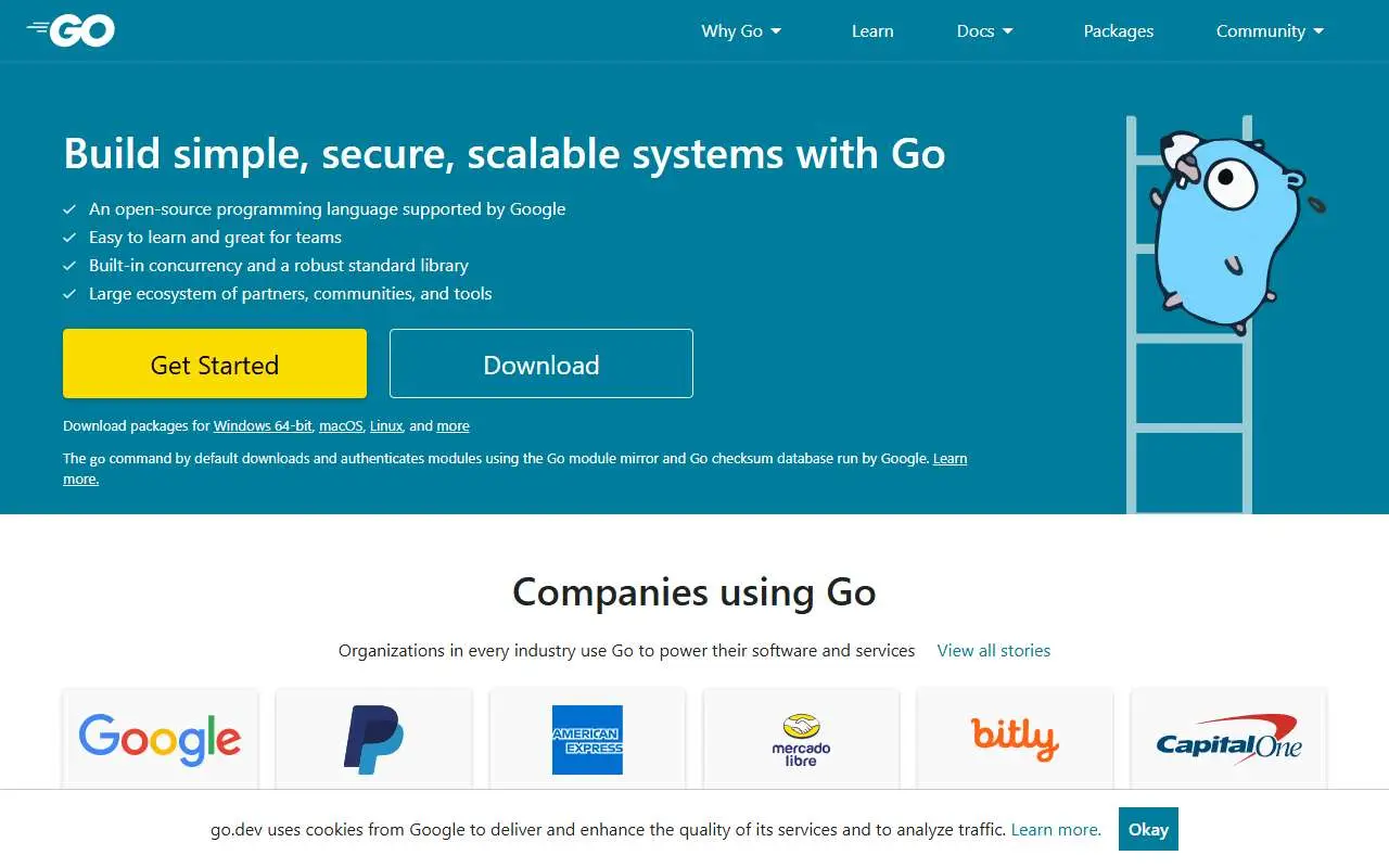 Tampilan website resmi Go (go.dev)