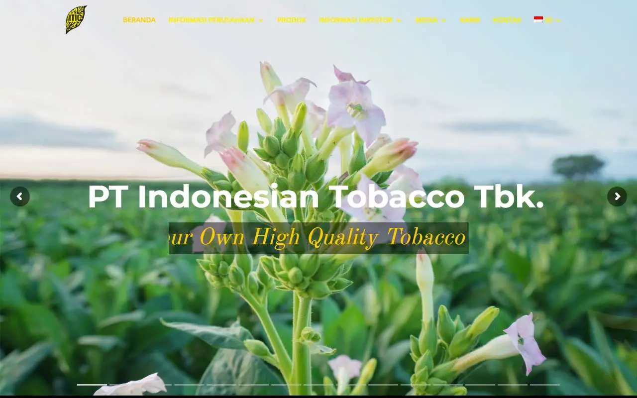 Tampilan website resmi Indonesian Tobacco (indonesiantobacco.com)