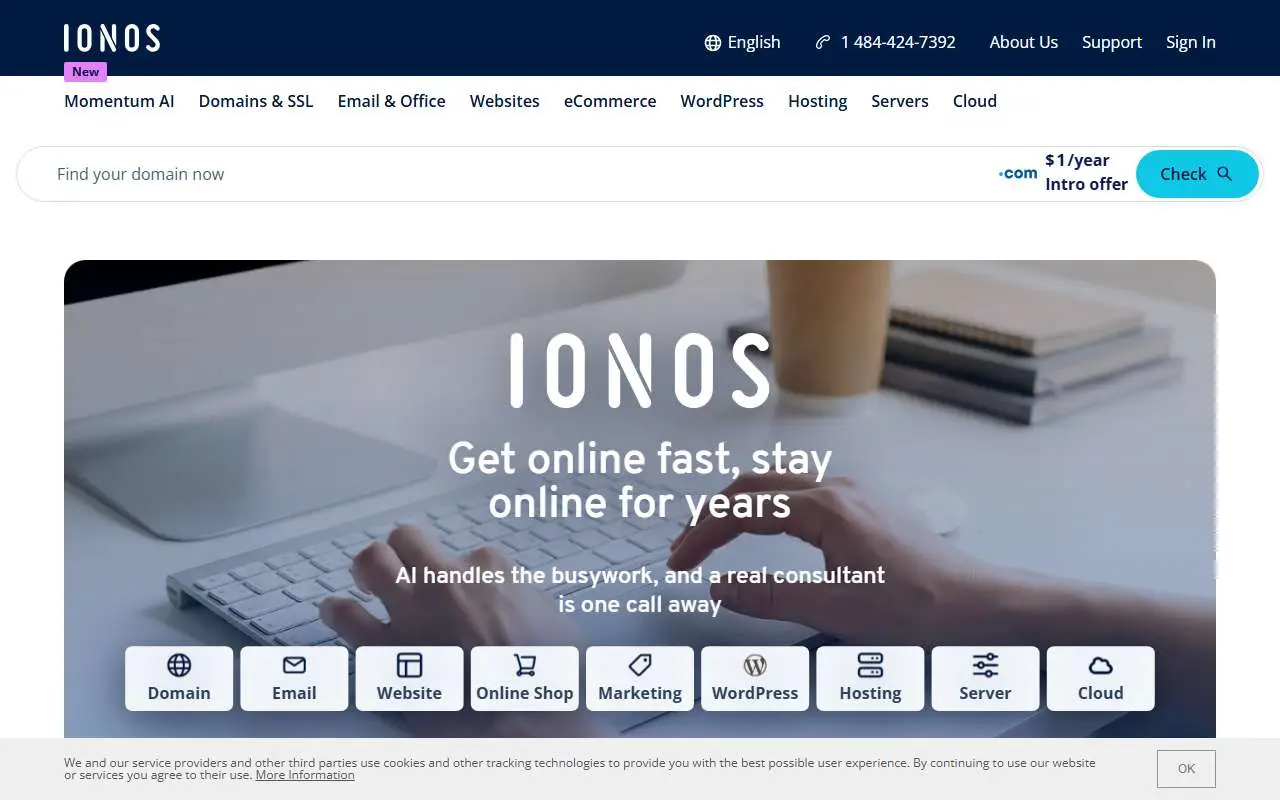 Tampilan website resmi IONOS (ionos.com)