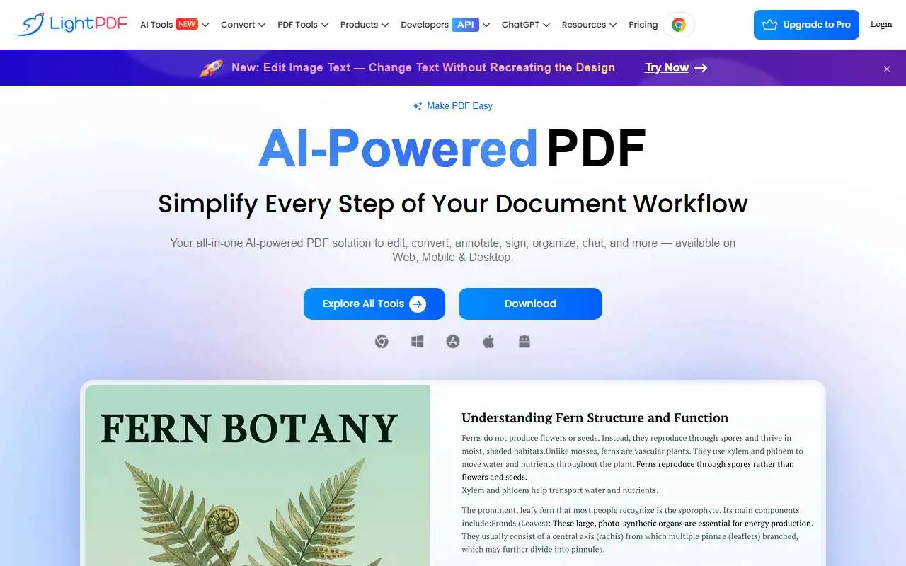 Tampilan website resmi LightPDF (lightpdf.com)
