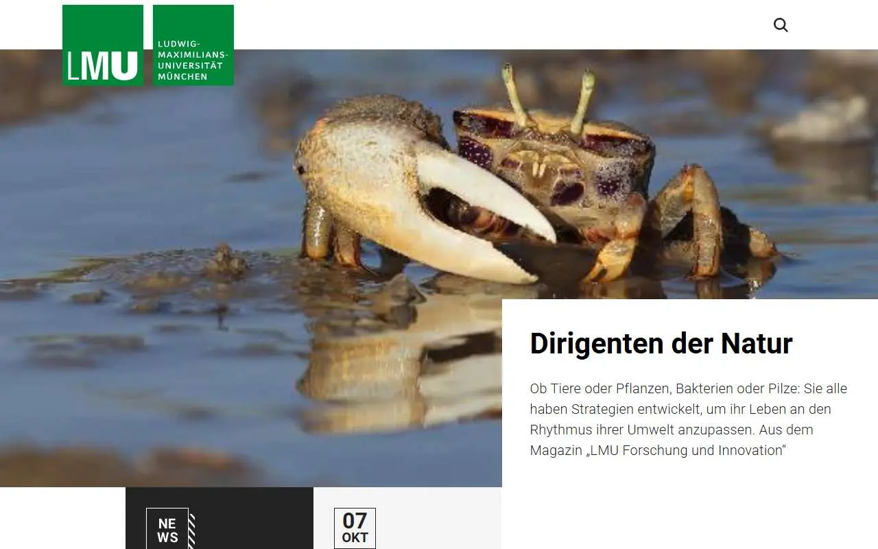 Tampilan website resmi Universitas Ludwig Maximilian Munich (lmu.de)