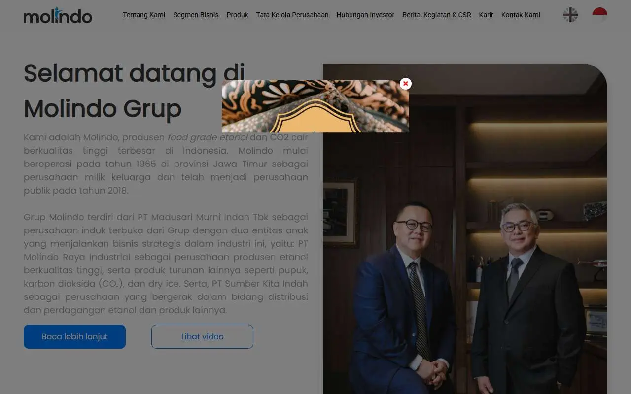 Tampilan website resmi Madusari Murni Indah (molindo.co.id)