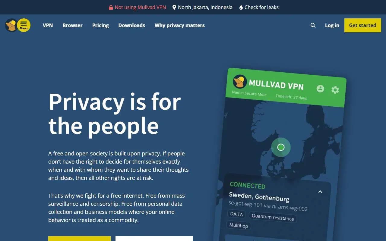 Tampilan website resmi Mullvad (mullvad.net)
