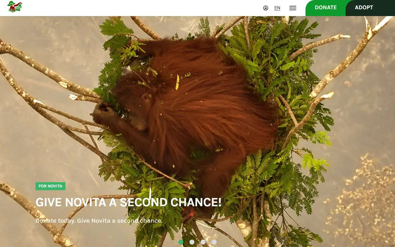 Tampilan website resmi Borneo Orangutan Survival (orangutan.or.id)