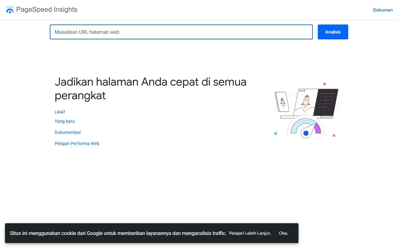 Tampilan website resmi PageSpeed Insights (pagespeed.web.dev)