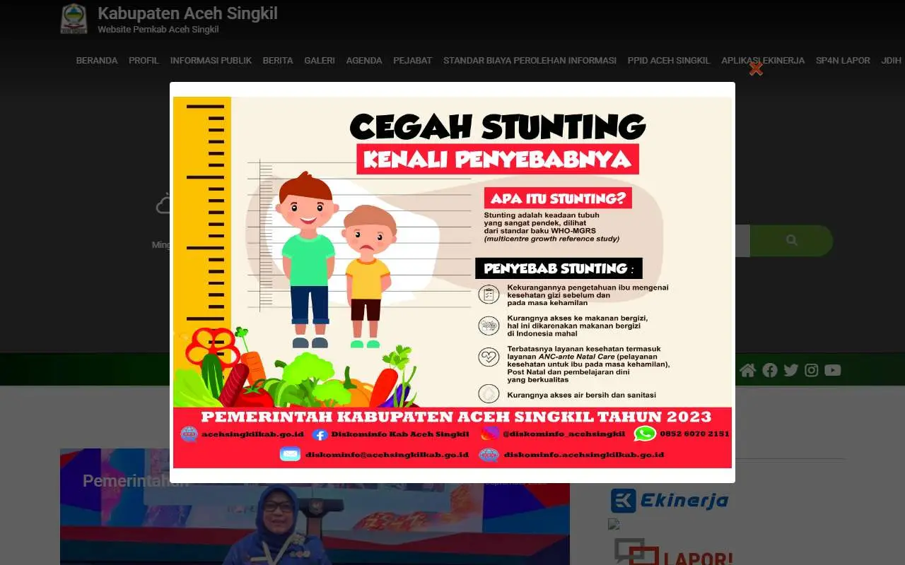 Tampilan website resmi Pemkab Aceh Singkil (acehsingkilkab.go.id)
