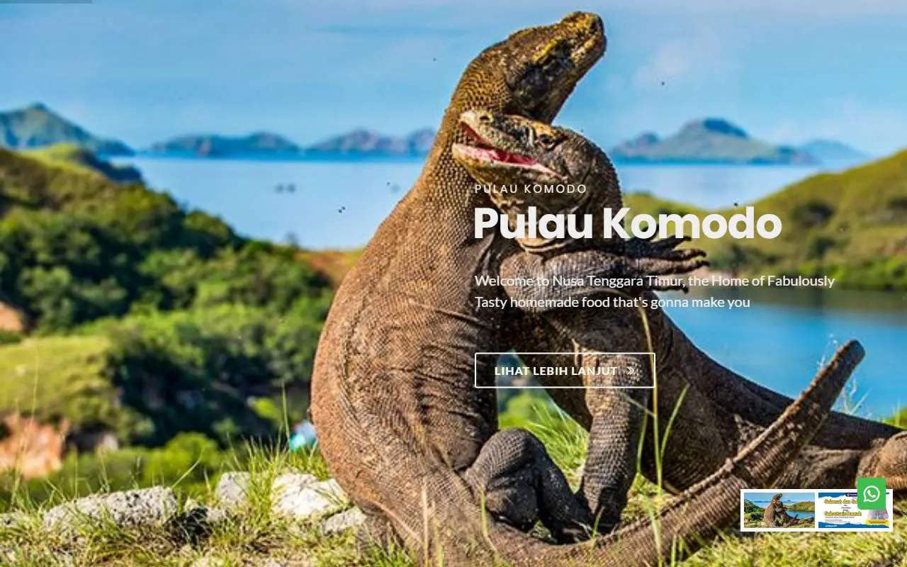 Tampilan website resmi Pemprov Nusa Tenggara Timur (nttprov.go.id)