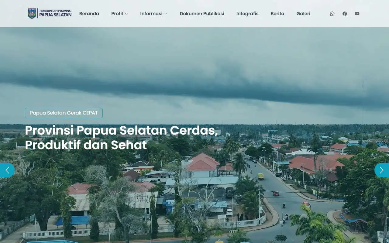 Tampilan website resmi Pemprov Papua Selatan (papuaselatan.go.id)