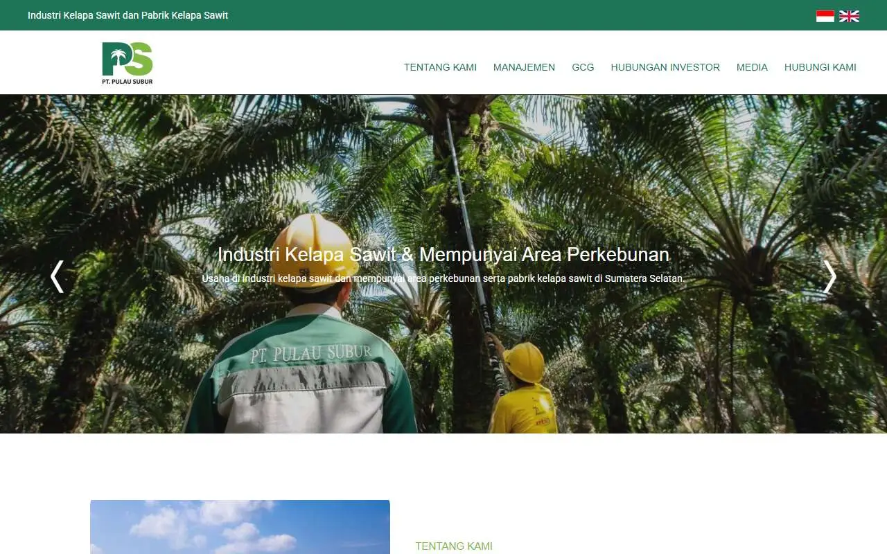 Tampilan website resmi Pulau Subur (pulausubur.com)