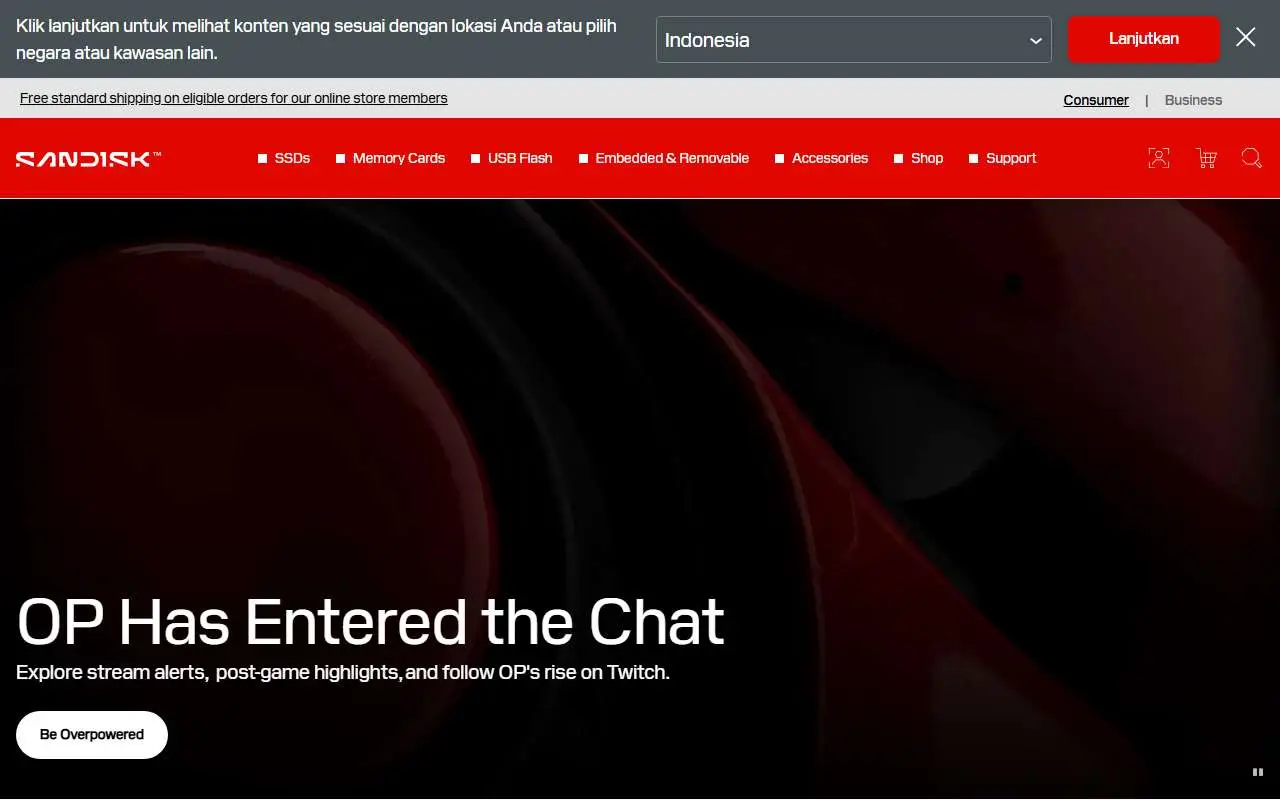 Tampilan website resmi SanDisk (sandisk.com)