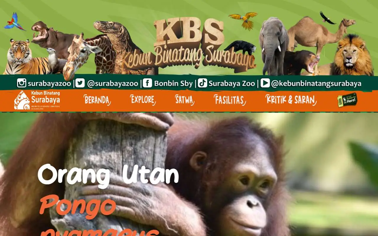 Tampilan website resmi Kebun Binatang Surabaya (surabayazoo.co.id)