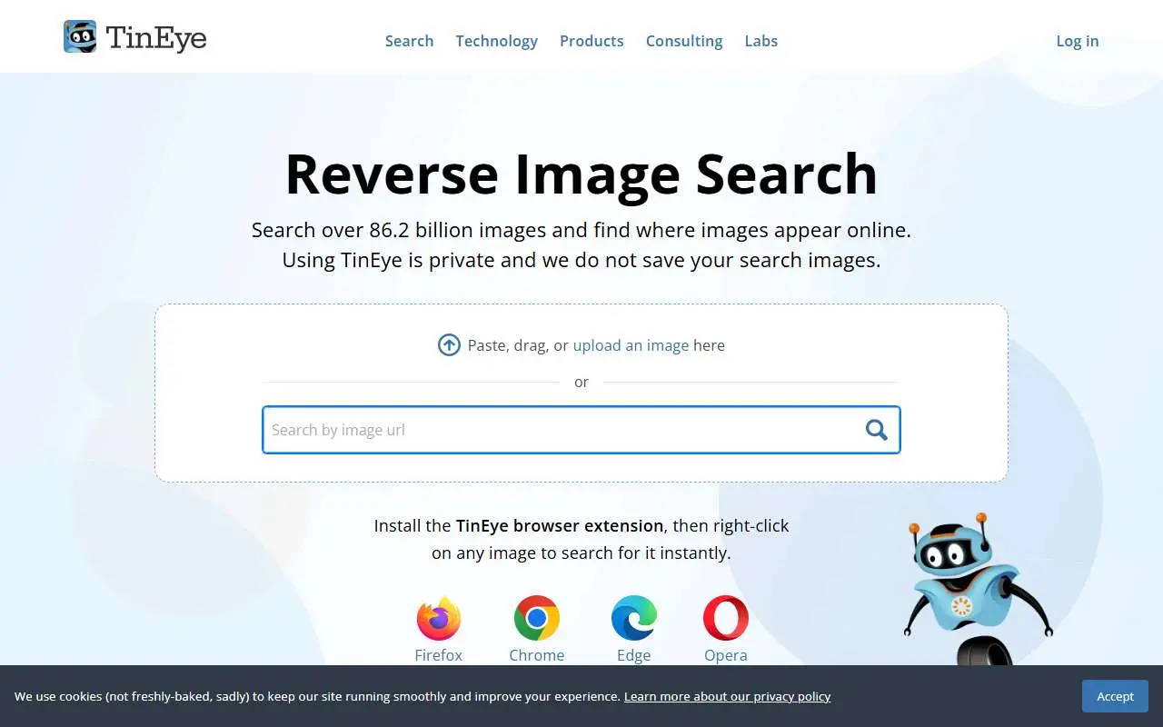 Tampilan website resmi TinEye (tineye.com)