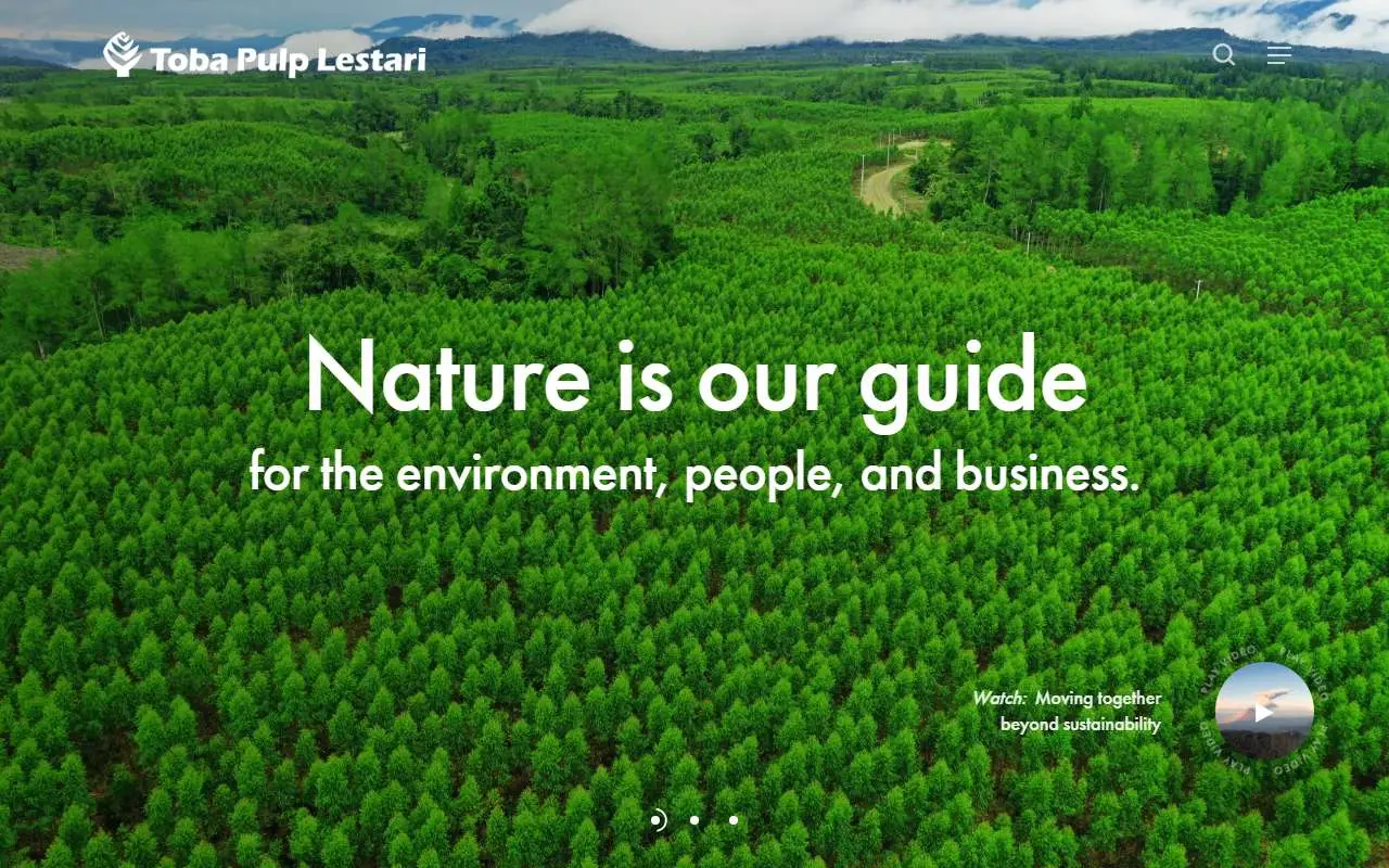 Tampilan website resmi Toba Pulp Lestari (tobapulp.com)