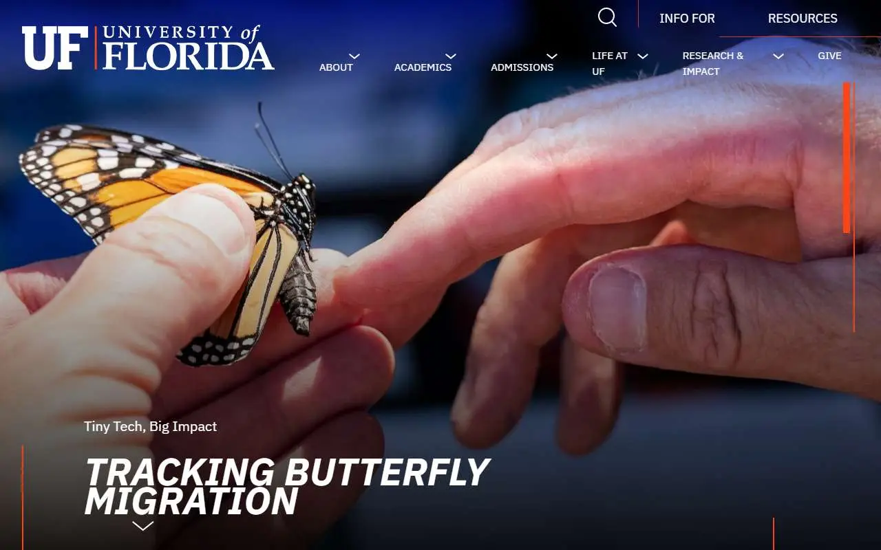 Tampilan website resmi Universitas Florida (ufl.edu)