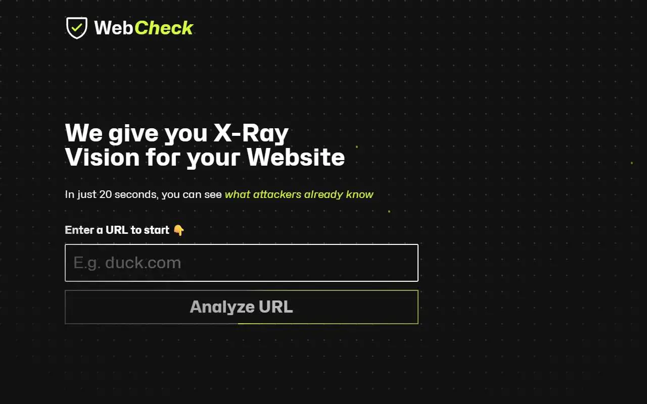 Tampilan website resmi Web Check (web-check.xyz)